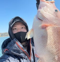 ズズキ・鯛・アコウ・ヒラメ